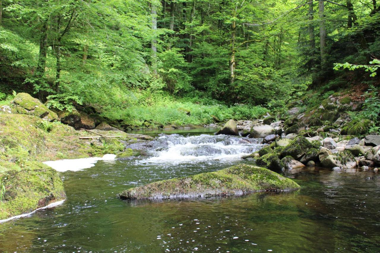 Ferienwohnung Hofleben Reiner Neukirchen vorm Wald Εξωτερικό φωτογραφία